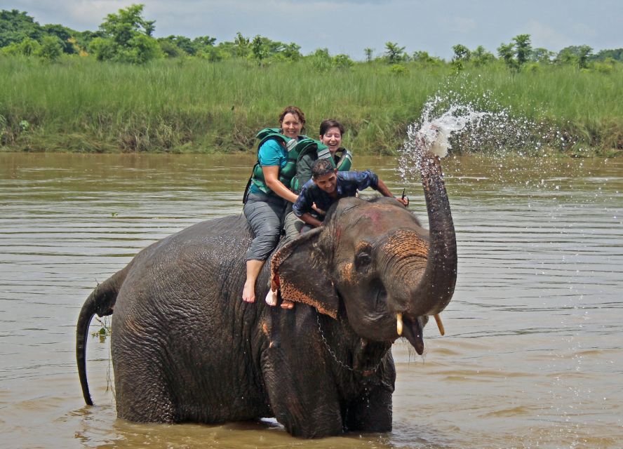 Chitwan Jungle Safari 3 Night 4 Days - Key Points