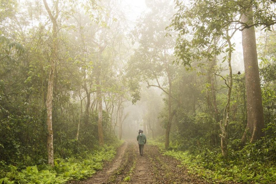 Chitwan Jungle Safari - Key Points