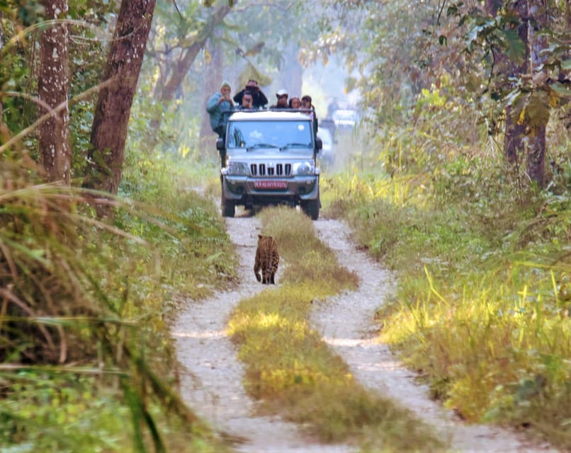 Chitwan National Park: Jeep Safari Tour With Guide - Key Points