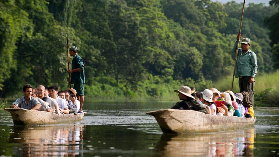 Chitwan Wildlife Adventure:Discover Nepals Jungle Treasures - Key Points