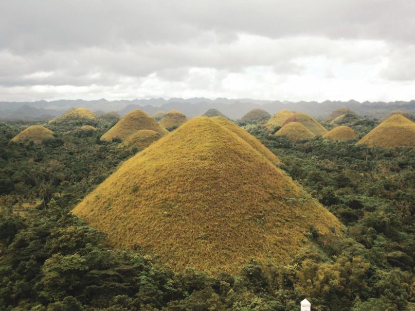 Chocolate Hills Bohol Private Tour - Key Points