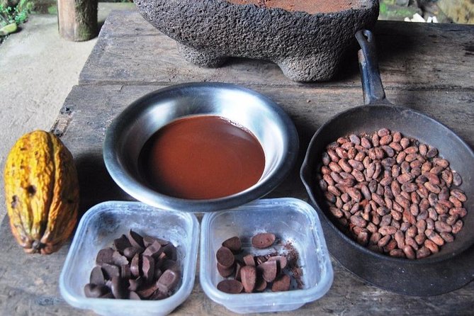 Chocolate Tour in Indigenous Area Bribri & Cahuita National Park - Good To Know