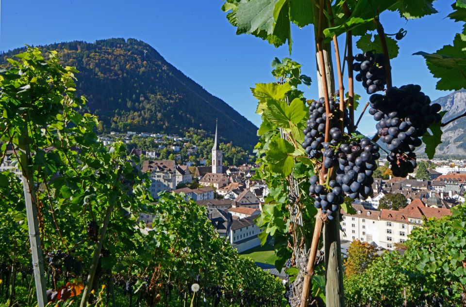 Chur: Old Town Tour - Good To Know