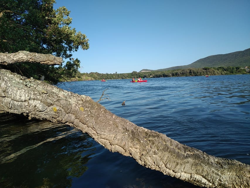 Circeo National Park:Guided Kayak Tour on the Lake Sabaudia - Key Points