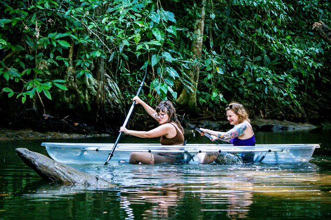 Clear Kayak Tour at Punta Uva - Tour Overview