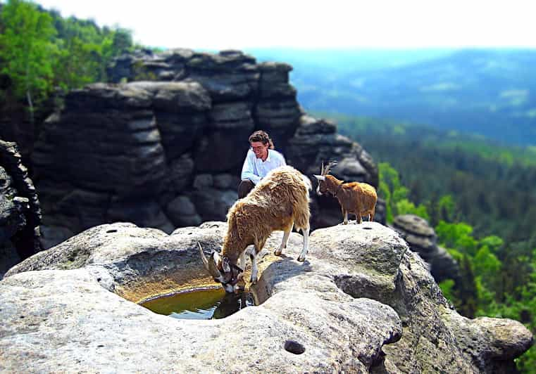 Climb the Mountains Together With Goats - Key Points