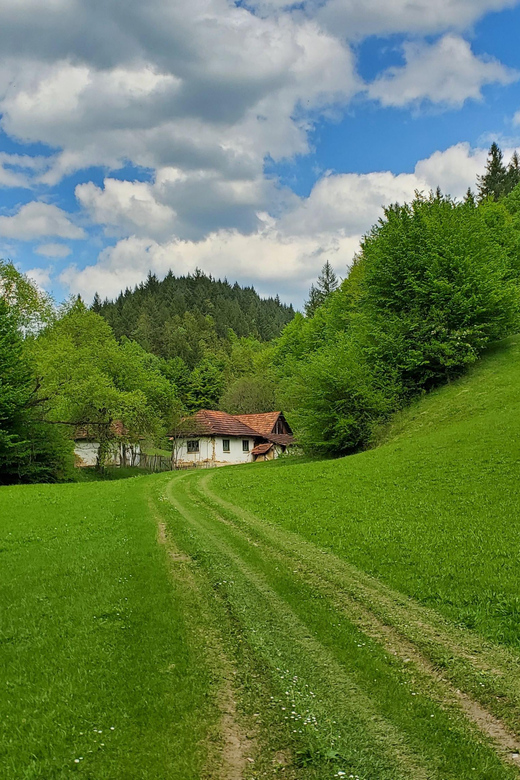 Cluj to Rosia: Day Trip to Ferrata and Pittoresque Country - Good To Know