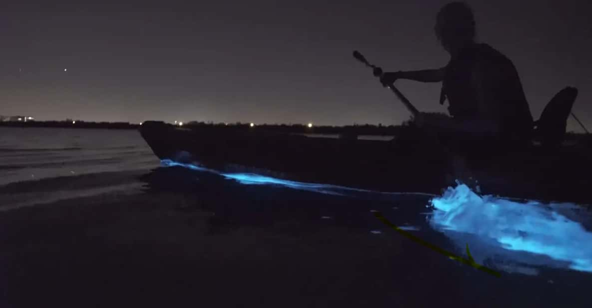 Cocoa Beach/Merritt Island:Bioluminescent Kayak Tour - Tour Overview