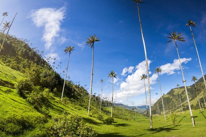 Cocora Valley and Santa Rita Waterfall Tour - Good To Know