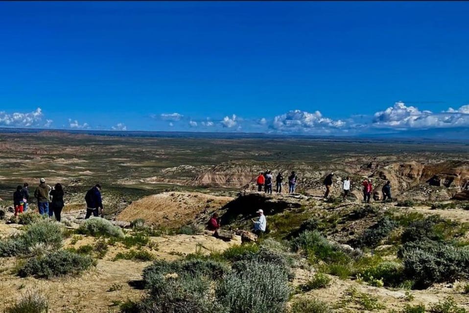 Cody: Red Canyon Wild Mustang Tour - Key Points