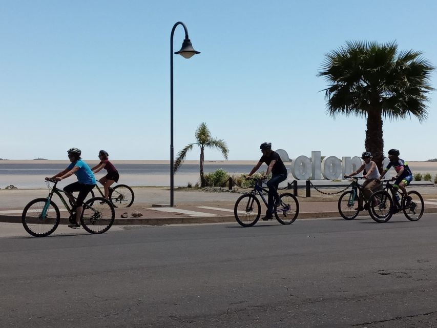 Colonia Del Sacramento: Adventure Sightseeing Bike Tour - Key Points