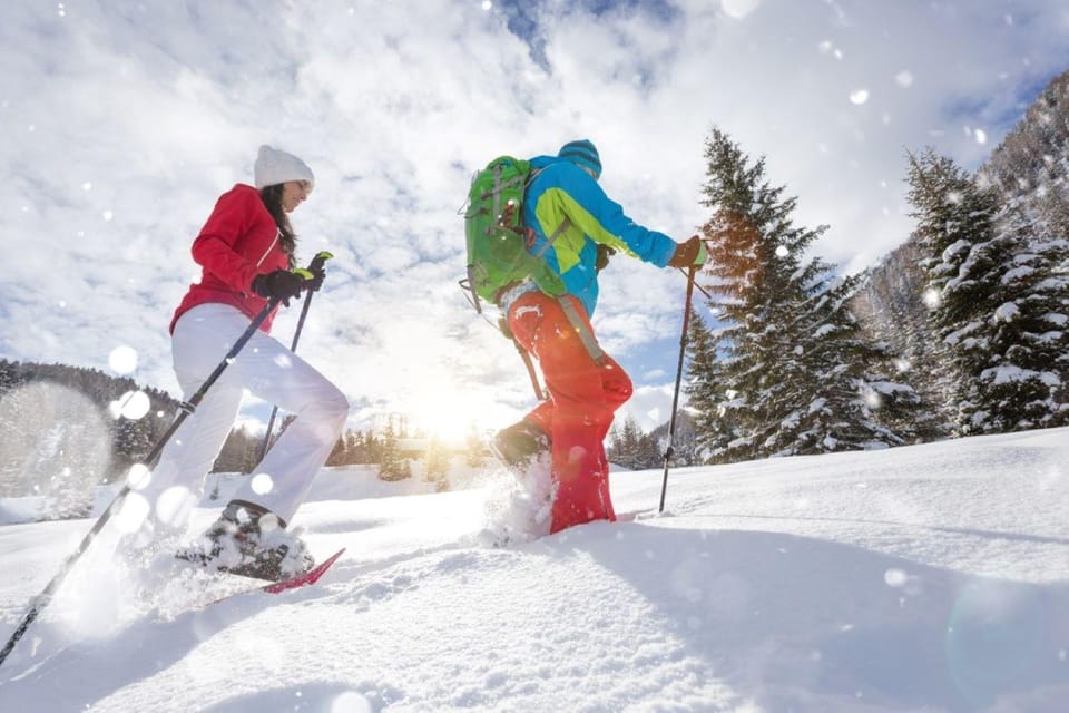 Colorado Backcountry: Guided Snowshoe Tour - Key Points