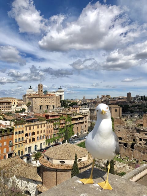 Colosseum and Roman Forum With Skip the Line Ticket - Key Points