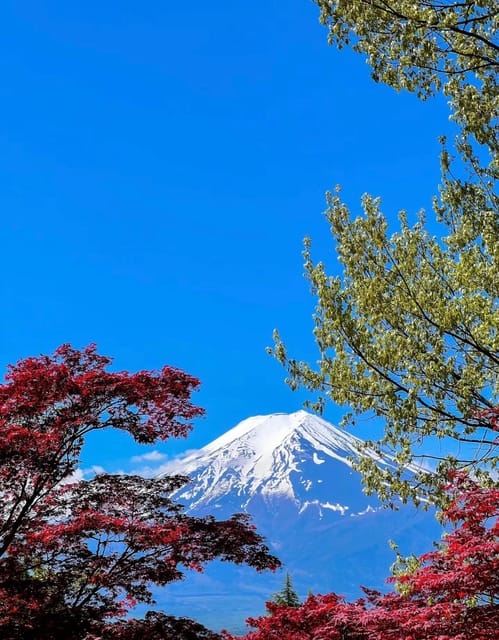 Comfortable Tour in Mount Fuji - Key Points