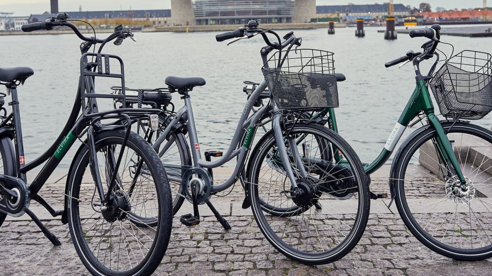 Copenhagen: Guided E-Bike Tour - Key Points