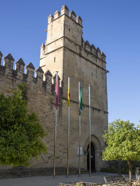 Cordoba: Alcazar Guided Tour and Skip-the-Line Ticket - Good To Know