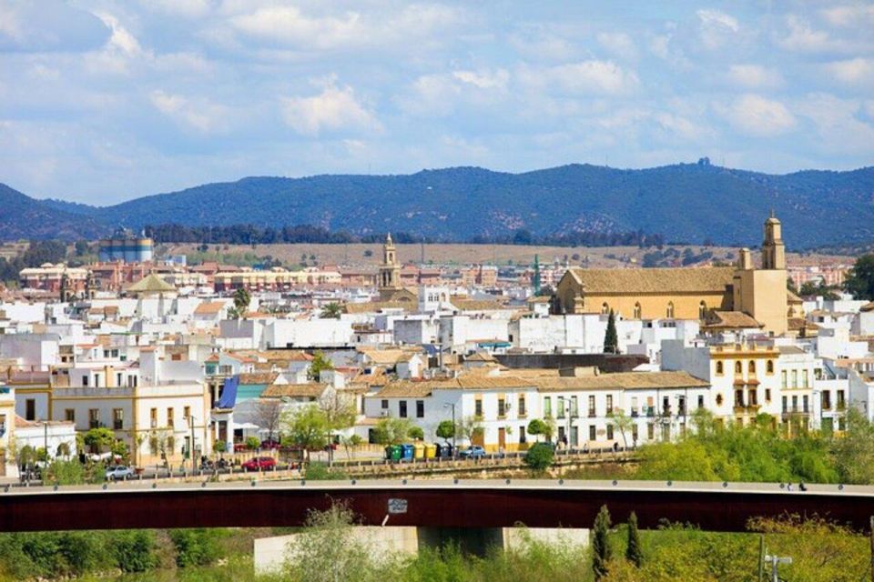 Cordoba: Old Town Private Walking Tour - Key Points