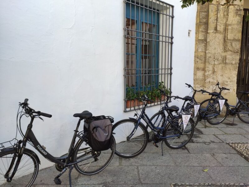 Córdoba: Private Bike Highlights Tour With Personal Guide - Customization and Flexibility