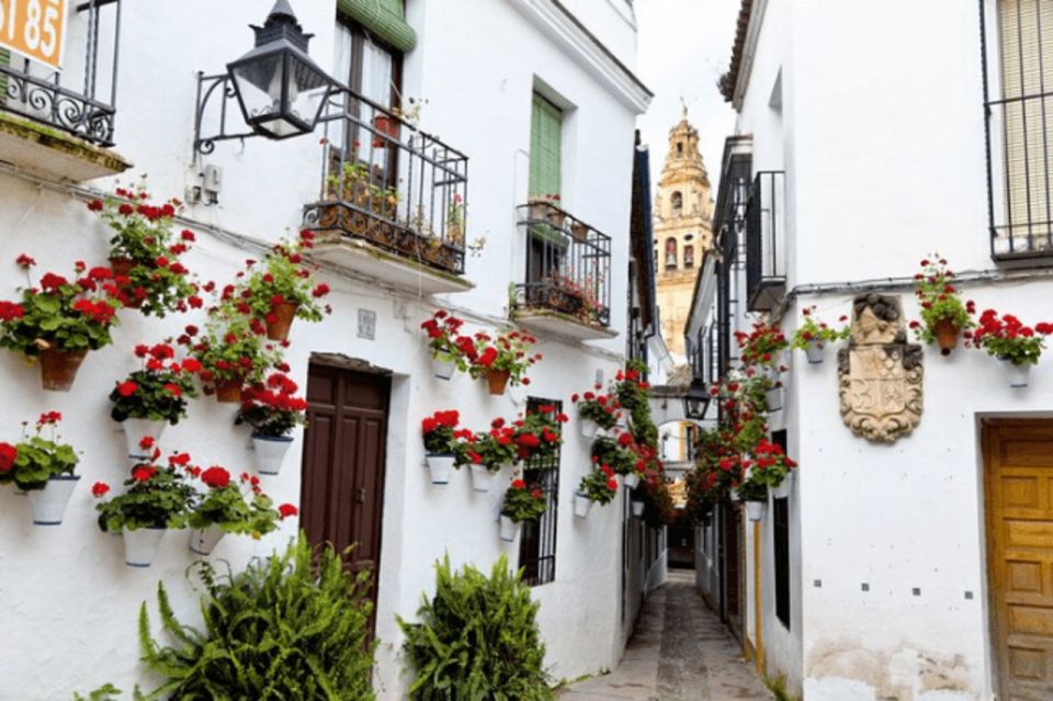 Córdoba Private Day Trip From Sevilla - Key Points