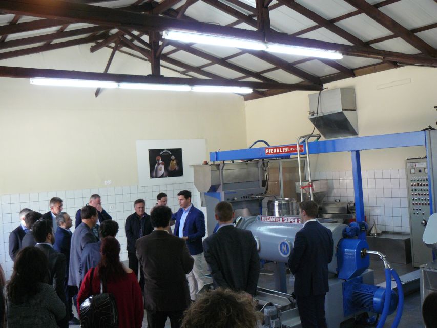 Corfu: Olive Oil Experience - The Governors Olive Mill - Key Points