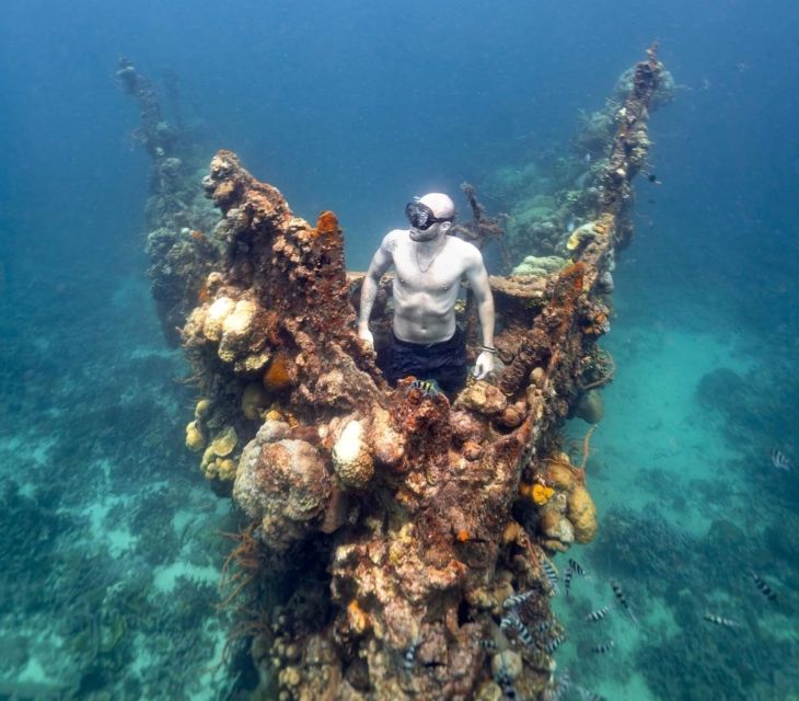 Coron Private Tour B: Barracuda Lake and Smith Beach - Key Points