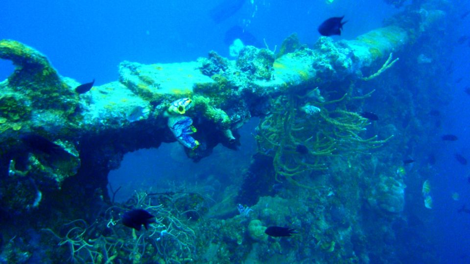 Coron Private Tour D: Reef and Wrecks - Key Points