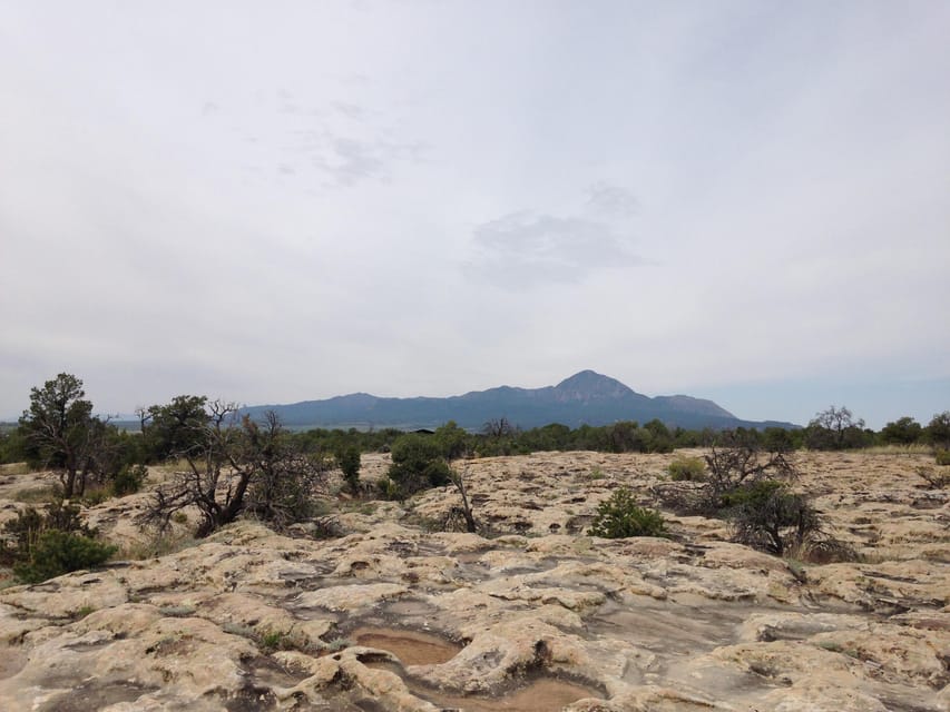 Cortez: Hawkins Nature Preserve Guided Walking Tour - Key Points