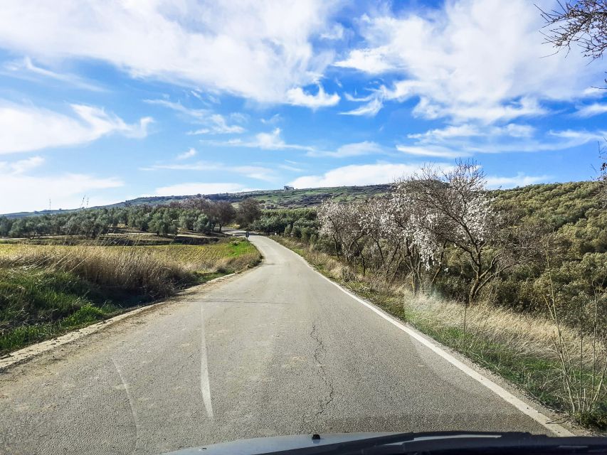 Costa Del Sol and Malaga: Ronda and Setenil De Las Bodegas - Key Points