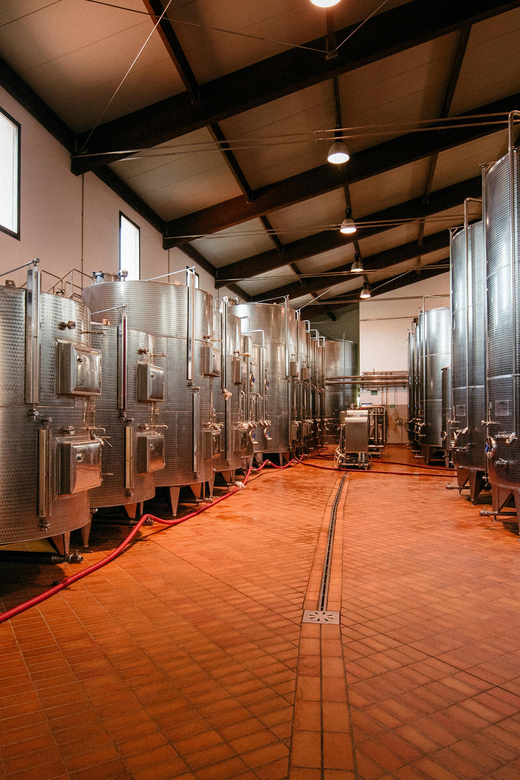COTARELLA FAMILY, NEAR ORVIETO WINE TASTE AND VISIT - Key Points
