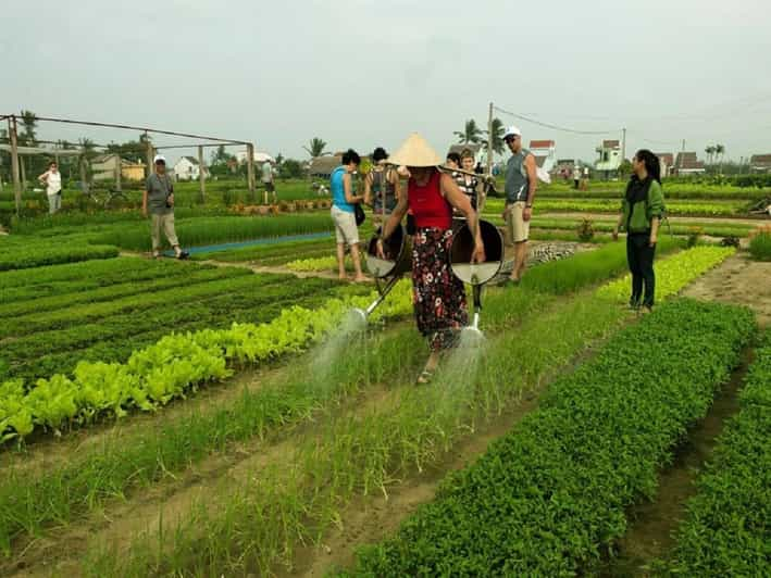 Countryside Biking -Farming -Market -Cooking Class In Hoi An - Key Points