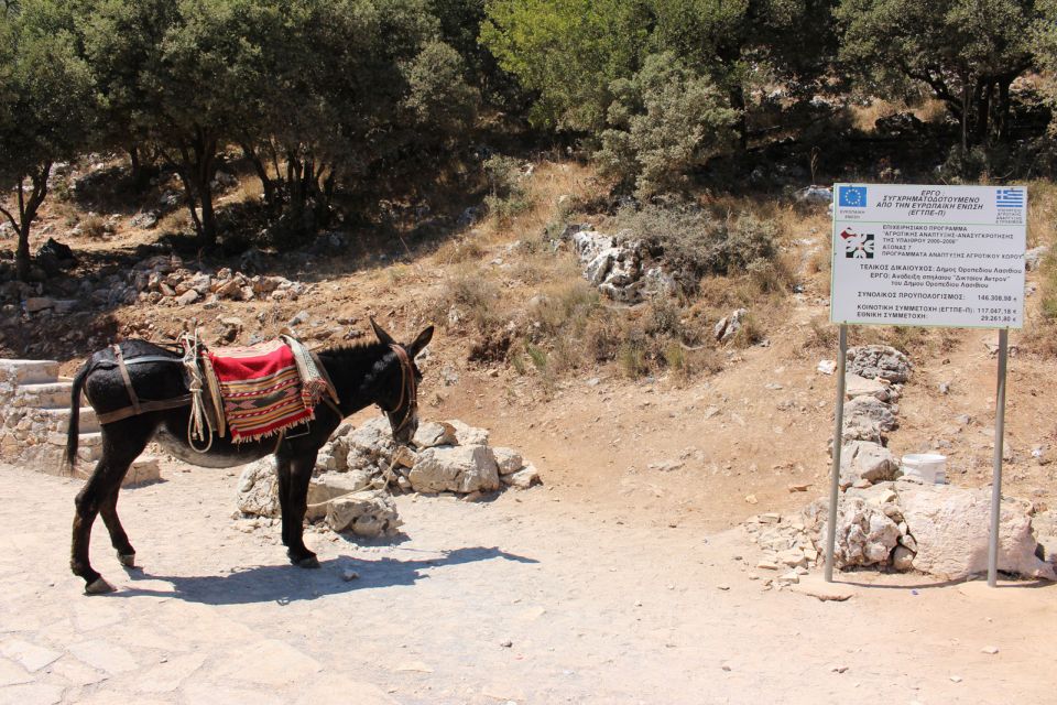 Crete: Land Rover Safari Through the Plateaus - Key Points