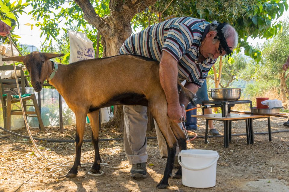 Crete: Lasithi Plateau and Cave of Zeus Off Road Safari Tour - Key Points