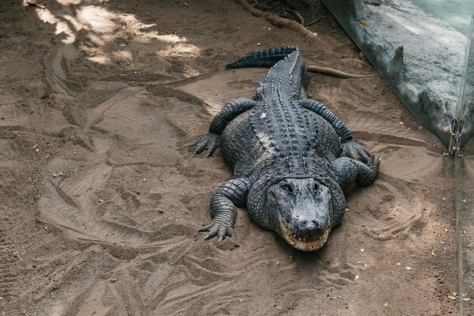 Crocodile Park Zoo Entry Ticket - Good To Know