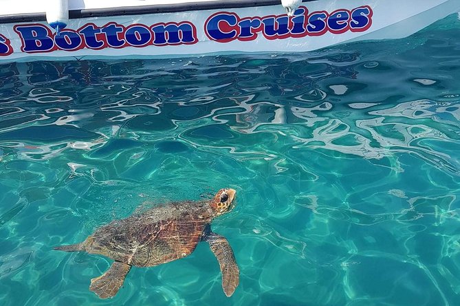 Cruise to Turtles Island and Caves With a Glass Bottom Boat - Good To Know