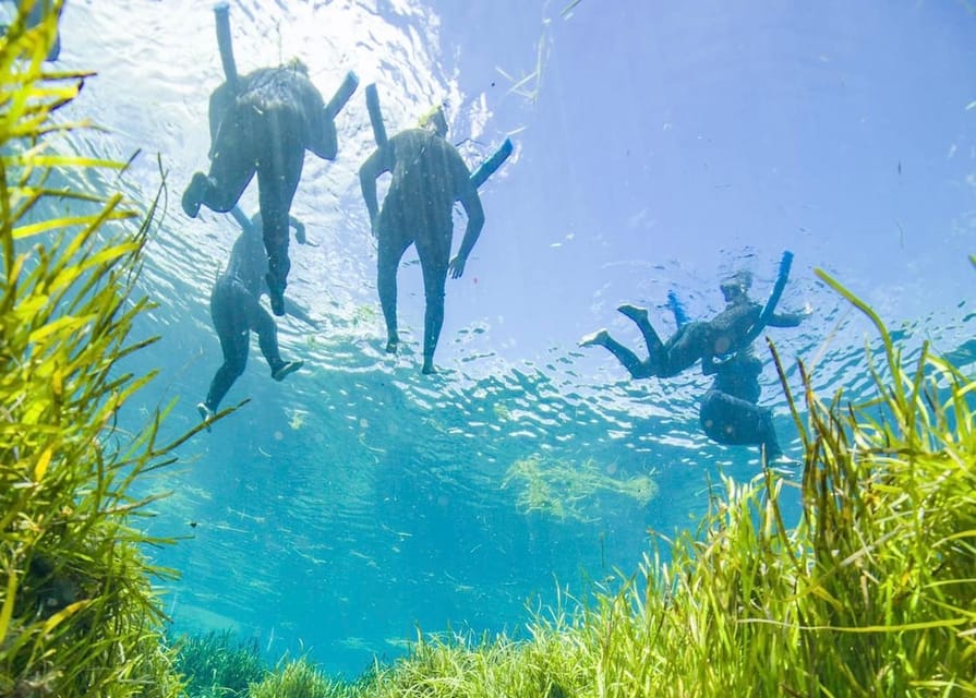 Crystal River: Swim and Snorkel With Manatees Tour - Key Points