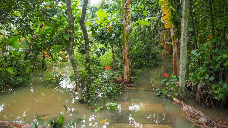 Cu Chi Tunnels & Mekong Delta Group Tour Full Day - Historical Significance