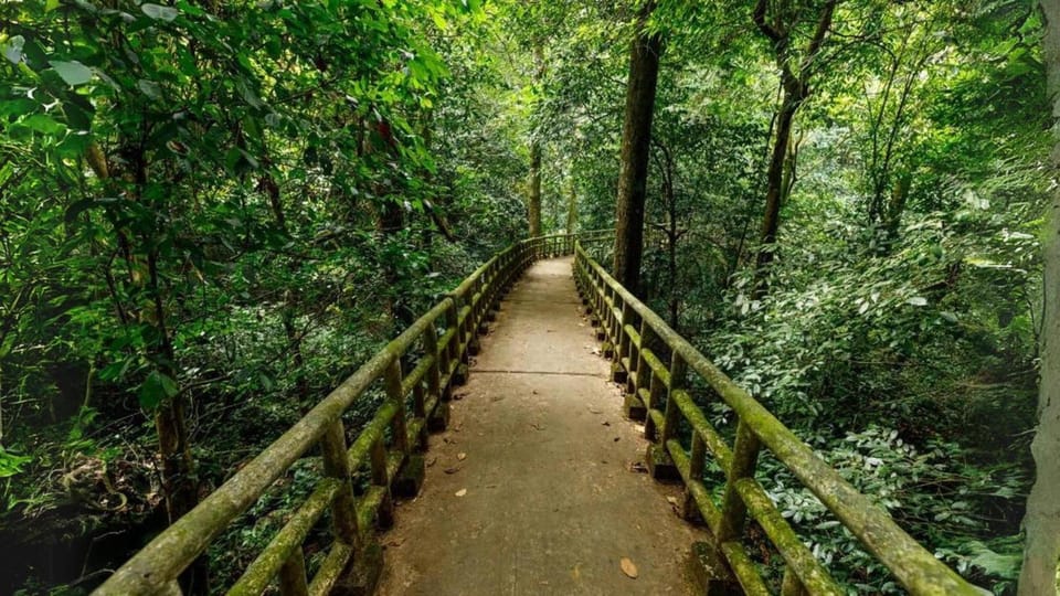 Cuc Phuong National Park Group Day Tour In Ninh Binh - Key Points