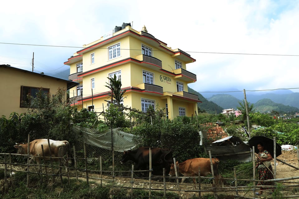 Cultural Experience With Nepali Family at a Homestay - Key Points