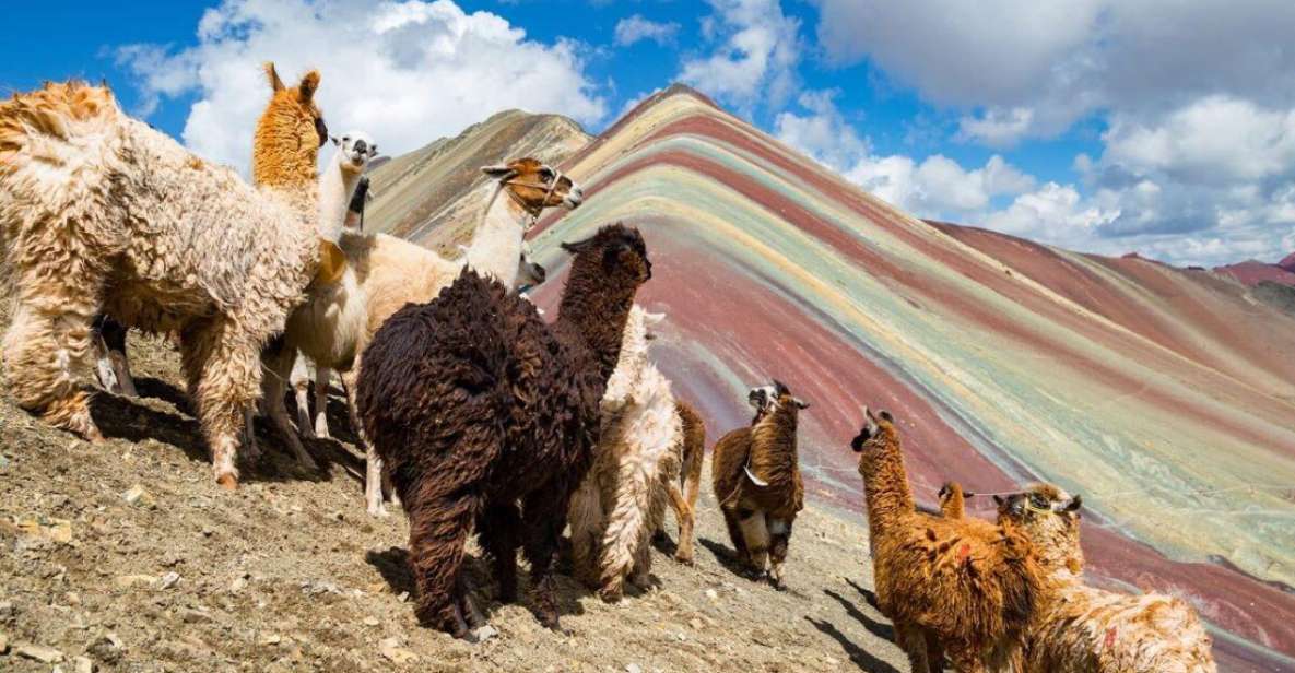 Cusco: Excursion to Rainbow Mountain | Full Day | - Key Points