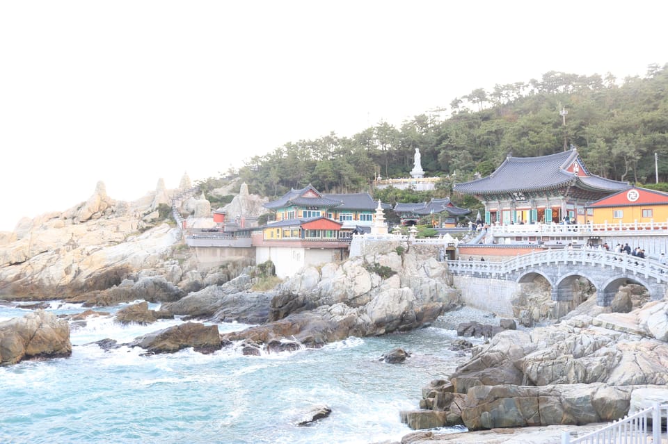 Customized Private Busan Tour With Licensed Agency and Guide - Key Points