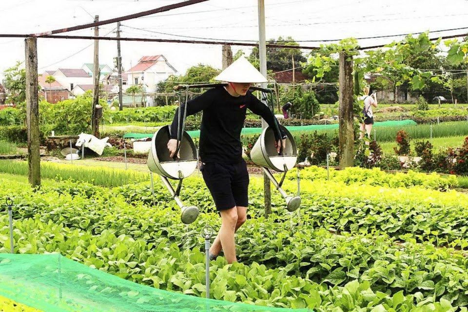 Daily TOUR HOI an COUNTRYSIDE BIKE TOUR With One Meal - Key Points