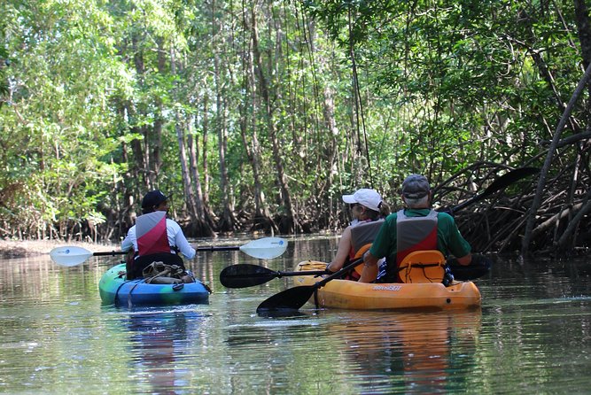 Damas Island Kayaking Mangrove Tour From Manuel Antonio - Location and Duration
