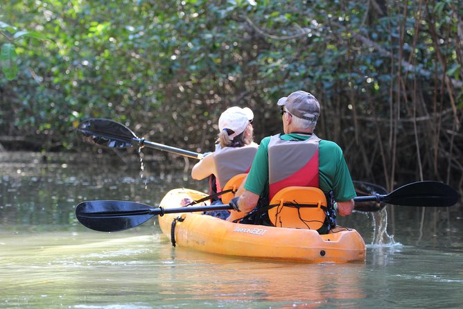 Damas Island Kayaking Mangrove Tour From Manuel Antonio - Tour Overview