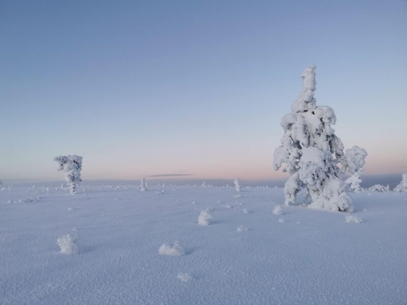 Day in the Tundra - Winter Trek & Smoke Sauna - Key Points