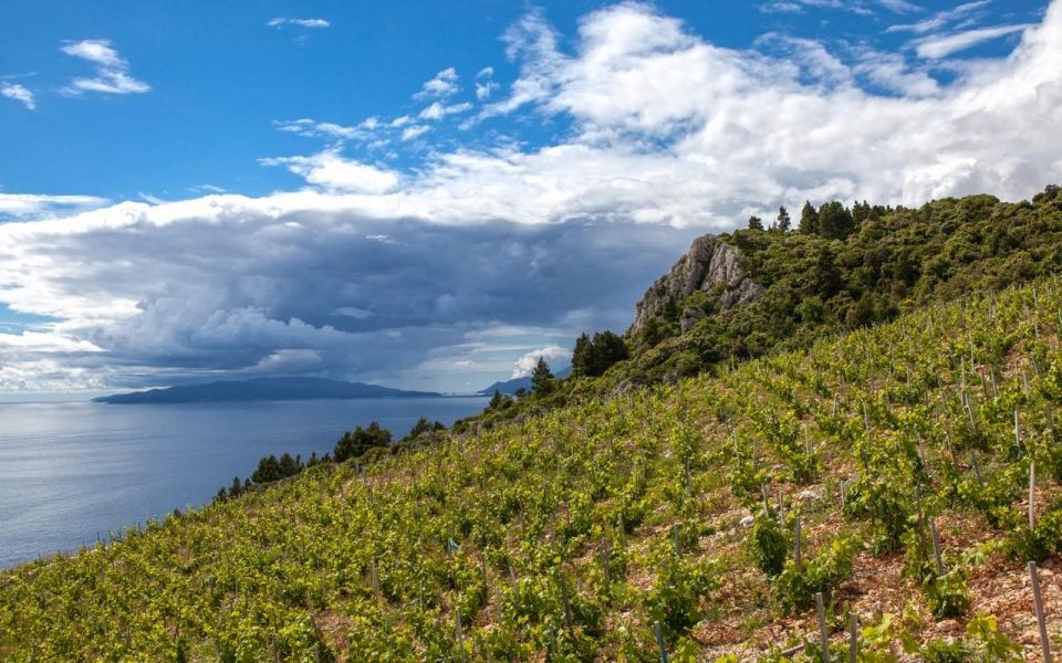 Day Tour From Dubrovnik - Korčula and Pelješac Wine Tasting - Good To Know