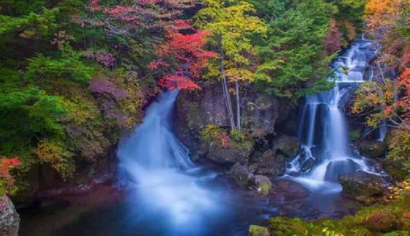 Day Tour Visit to Nikko Toshugo From Tokyo - Tour Overview and Pricing