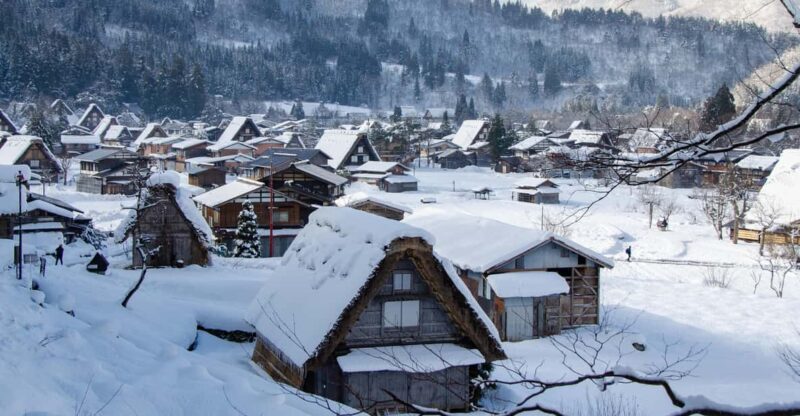 Day Trip From Nagoya（Gujo Hachiman ,Takayama & Shirakawago） - Key Points