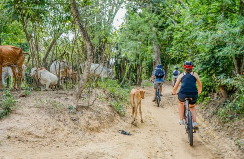 Day Trip From Sihanoukville to Phnom Penh for Cruise Ship - Good To Know