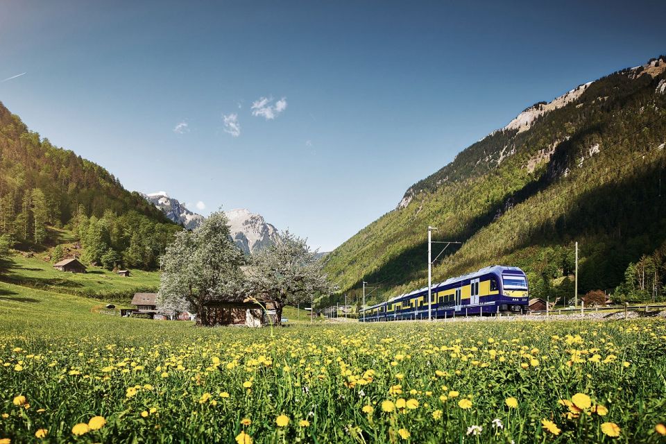 Day Trip From Zurich: Grindelwald First Mountain Adventure - Good To Know