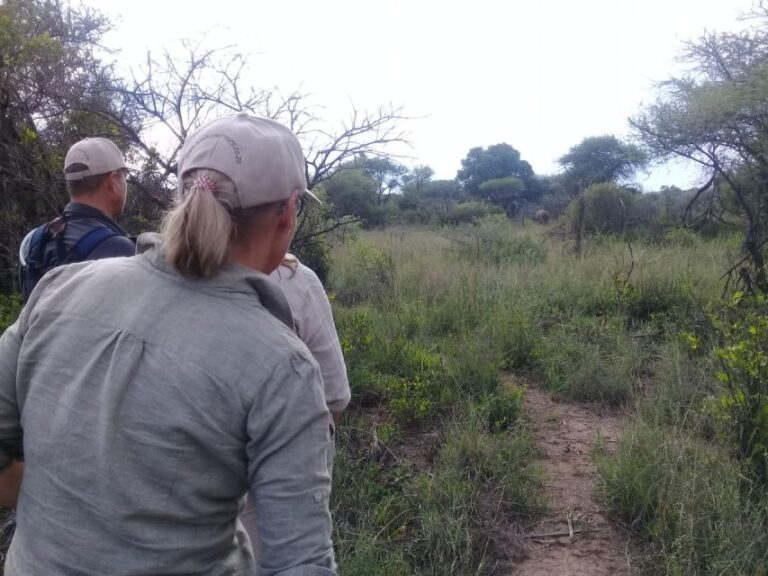 Day Trip Safari : Big 5 Walking Safari With Game Drive